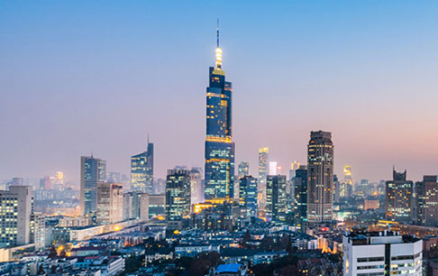 行业龙头及市场卡位优势